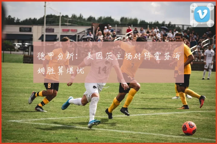 德甲分析：美因茨主场对阵霍芬海姆胜算堪忧