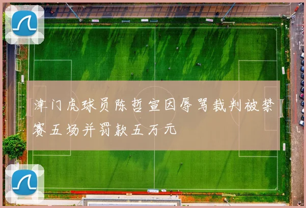 津门虎球员陈哲宣因辱骂裁判被禁赛五场并罚款五万元